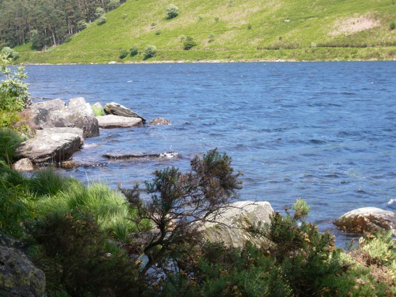 K800_P1000557.JPG - Llyn Geirionydd - ein "toter" See, da im durch Blei belasteten Wasser keine Fische leben können.